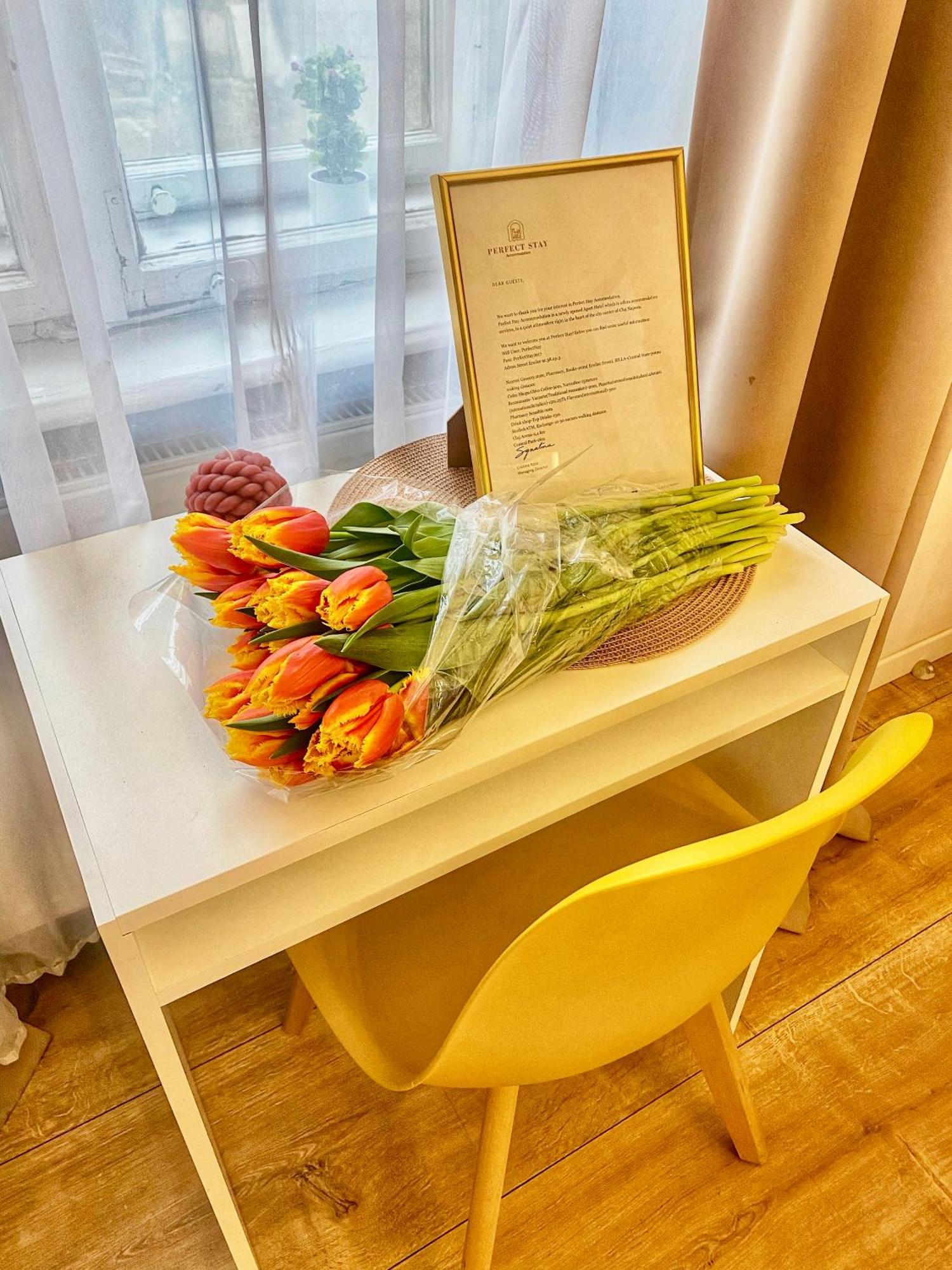 Perfect Stay Cluj-Napoca Buitenkant foto